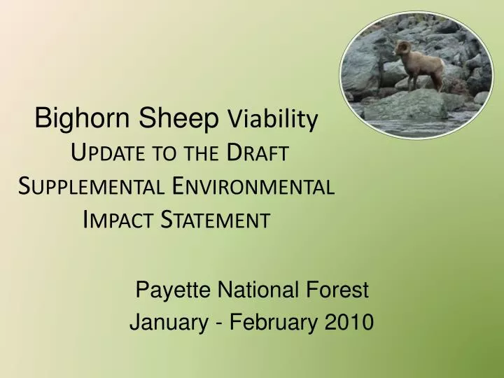 bighorn sheep viability update to the draft supplemental environmental impact statement