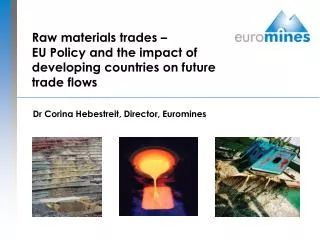 Raw materials trades – EU Policy and the impact of developing countries on future trade flows