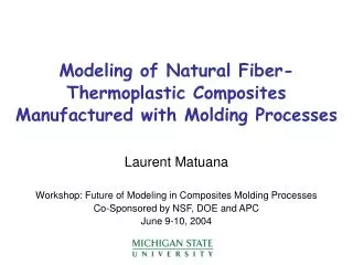 Modeling of Natural Fiber-Thermoplastic Composites Manufactured with Molding Processes