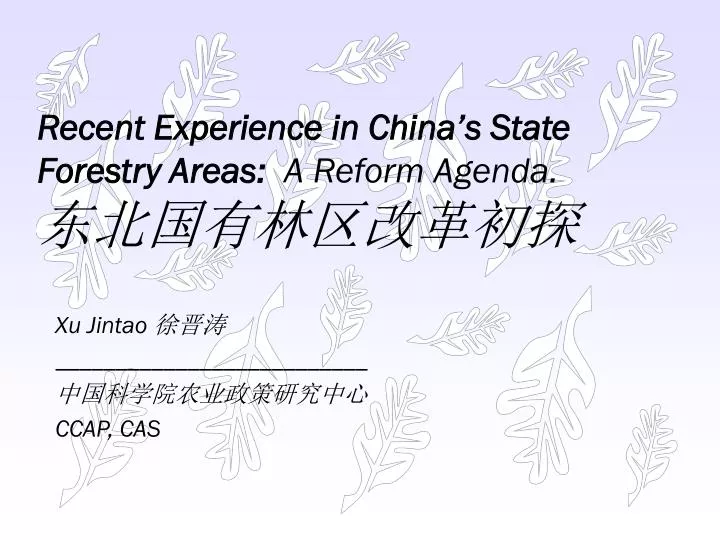 recent experience in china s state forestry areas a reform agenda