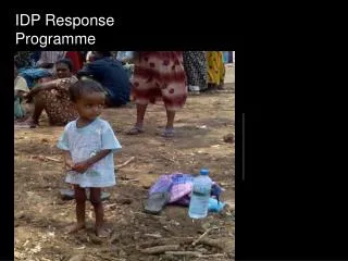 IDP Response Programme