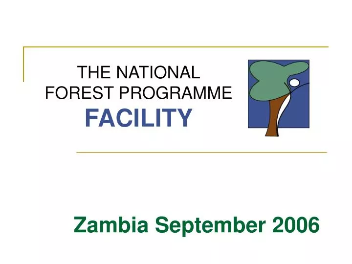 the national forest programme facility