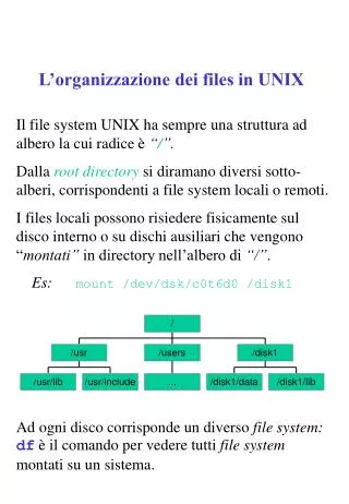 l organizzazione dei files in unix