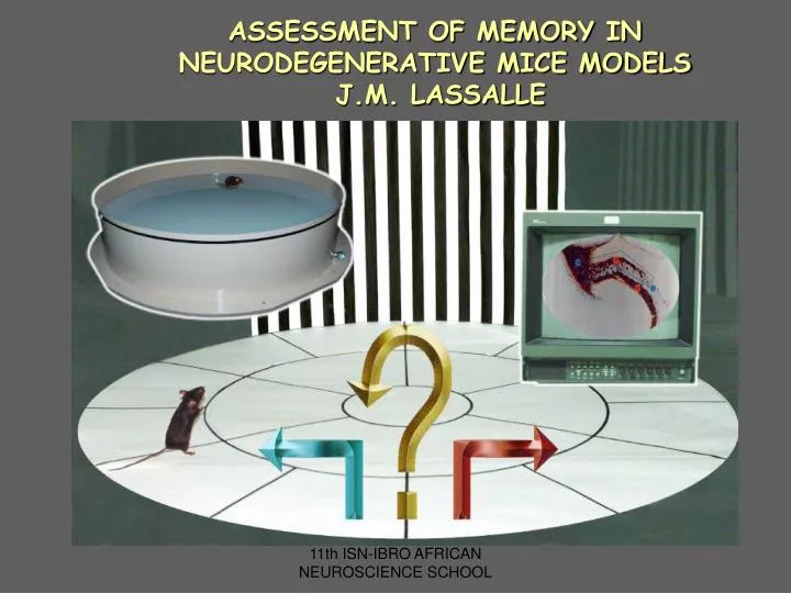 assessment of memory in neurodegenerative mice models j m lassalle