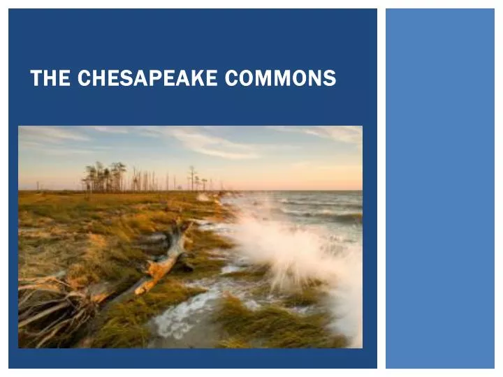 the chesapeake commons