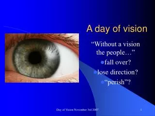 A day of vision