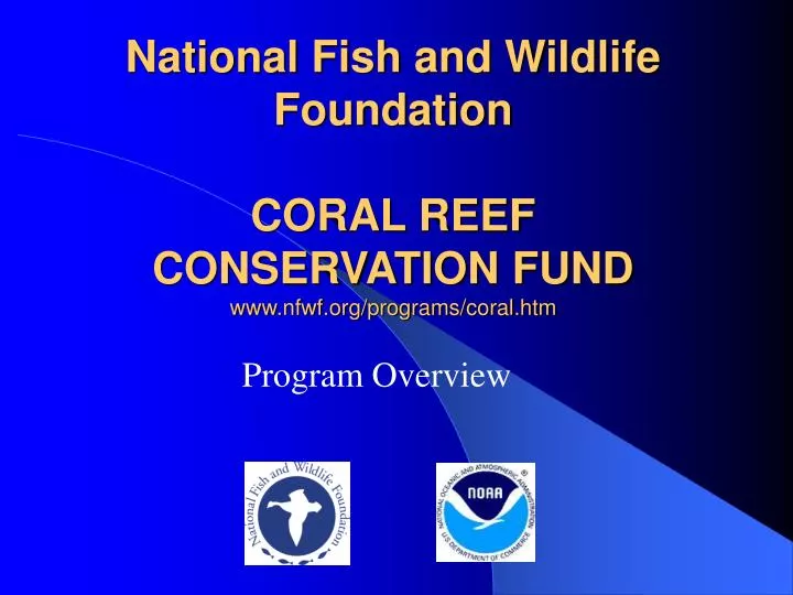 national fish and wildlife foundation coral reef conservation fund www nfwf org programs coral htm