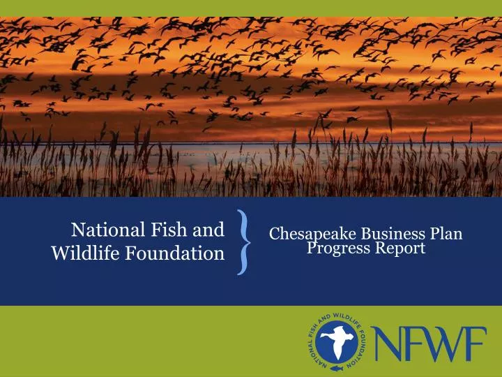national fish and wildlife foundation