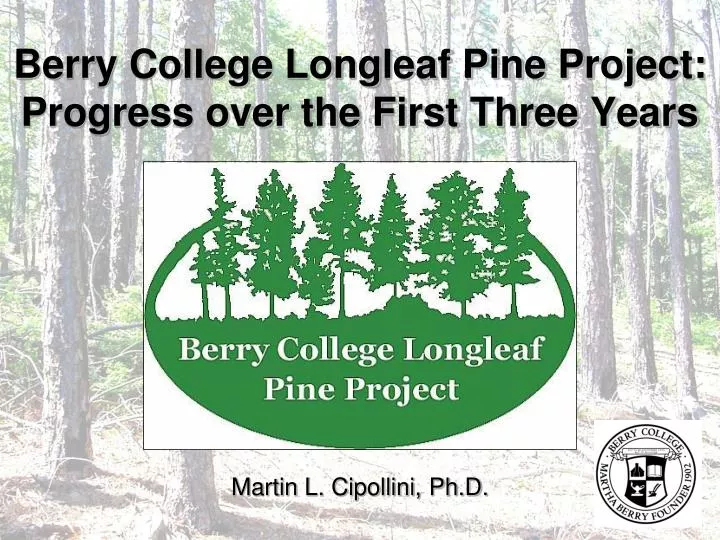 berry college longleaf pine project progress over the first three years