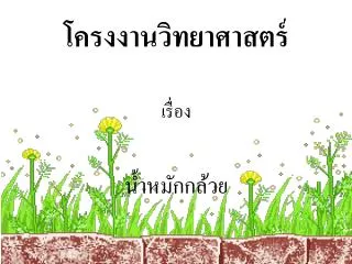 โครงงานวิทยาศาสตร์