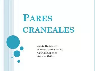 pares craneales
