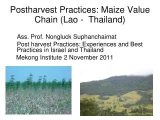 Postharvest Practices: Maize Value Chain (Lao - Thailand)