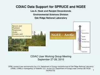 CDIAC Data Support for SPRUCE and NGEE Les A. Hook and Ranjeet Devarakonda