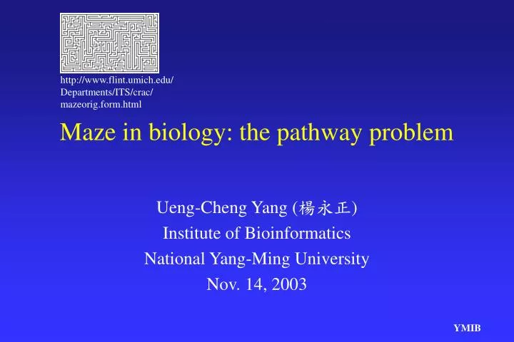 maze in biology the pathway problem