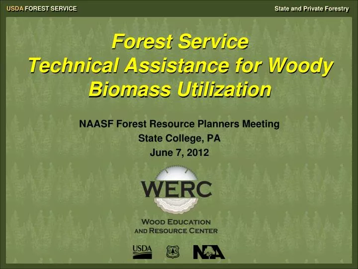 forest service technical assistance for woody biomass utilization
