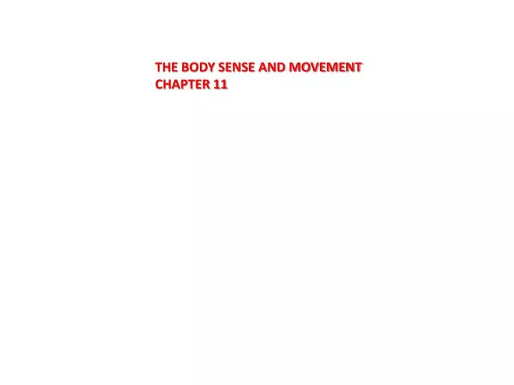 the body sense and movement chapter 11
