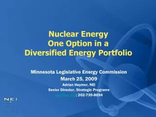 Nuclear Energy One Option in a Diversified Energy Portfolio