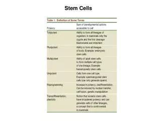 Stem Cells