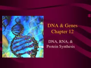 DNA &amp; Genes Chapter 12