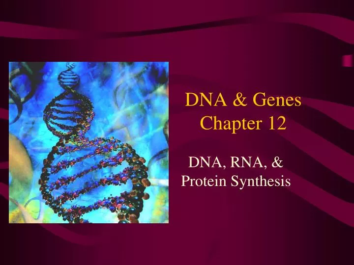 dna genes chapter 12