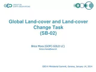 Global Land-cover and Land-cover Change Task (SB-02)
