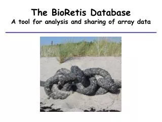 The BioRetis Database A tool for analysis and sharing of array data