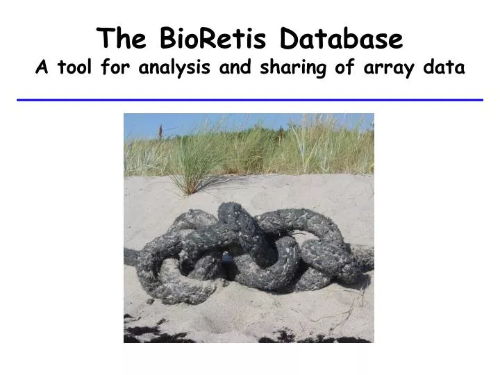 the bioretis database a tool for analysis and sharing of array data