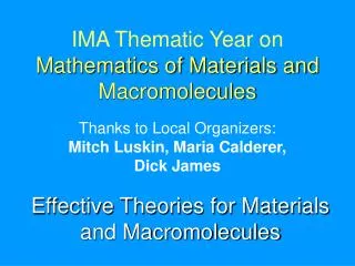 IMA Thematic Year on Mathematics of Materials and Macromolecules