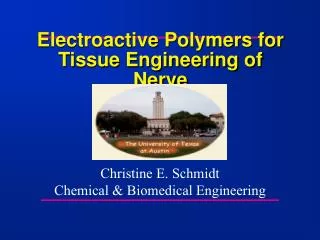 Electroactive Polymers for Tissue Engineering of Nerve