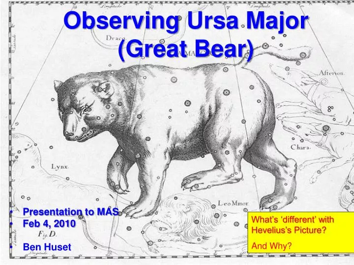 observing ursa major great bear