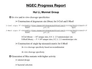 NGEC Progress Report Hui Li, Monnat Group