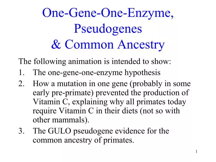 one gene one enzyme pseudogenes common ancestry