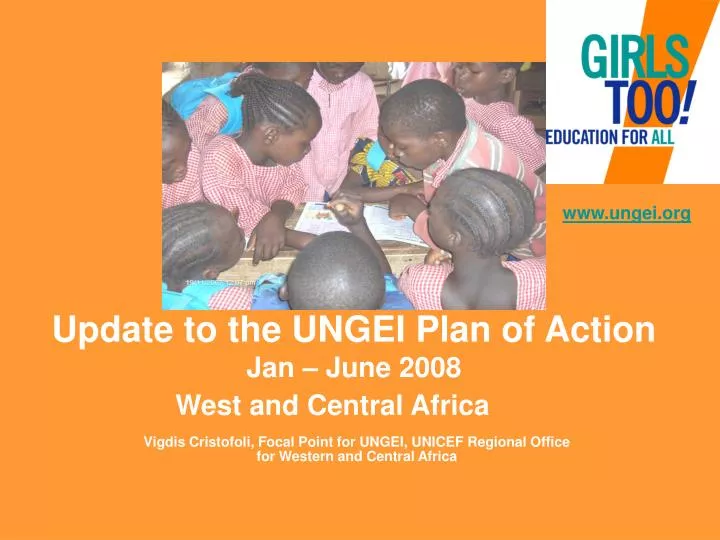 update to the ungei plan of action jan june 2008