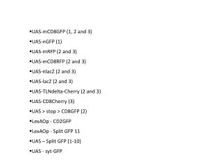 UAS-mCD8GFP (1, 2 and 3) UAS- nGFP (1) UAS- mRFP (2 and 3) UAS-mCD8RFP (2 and 3)