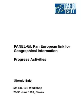 PANEL-GI: Pan European link for Geographical Information Progress Activities Giorgio Saio