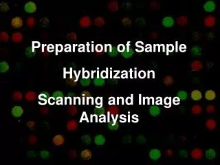 Preparation of Sample Hybridization Scanning and Image Analysis