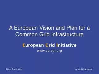 A European Vision and Plan for a Common Grid Infrastructure