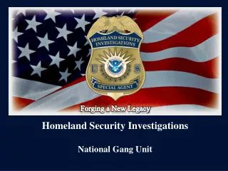 Homeland Security Investigations National Gang Unit