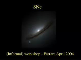 (Informal) workshop - Ferrara April 2004