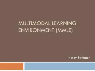 Multimodal Learning Environment ( MmLE )