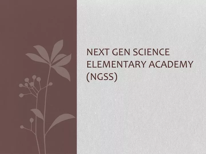 next gen science elementary academy ngss