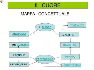 il cuore