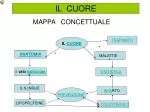 IL CUORE - slide 1