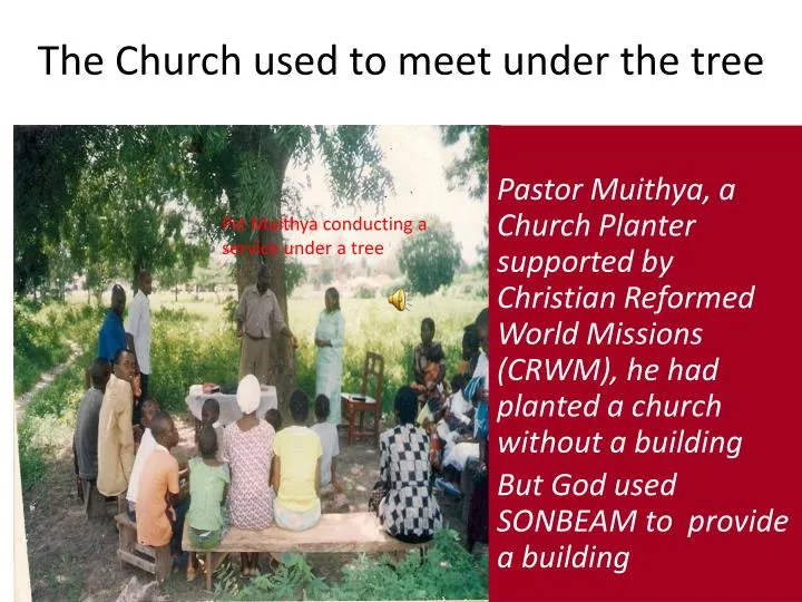 the church used to meet under the tree
