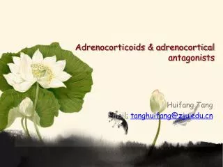 Adrenocorticoids &amp; adrenocortical antagonists