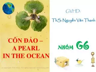 CÔN ĐẢO – A PEARL IN THE OCEAN