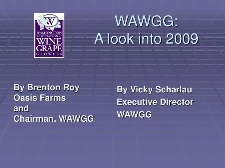 wawgg a look into 2009