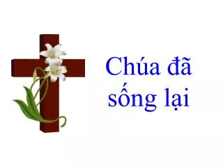 ch a s ng l i