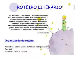roteiro liter rio