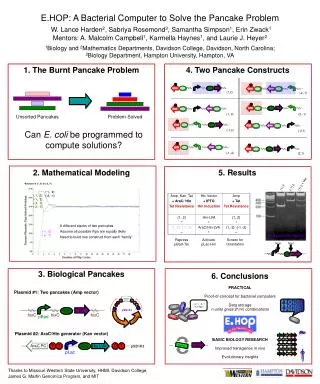 2. Mathematical Modeling